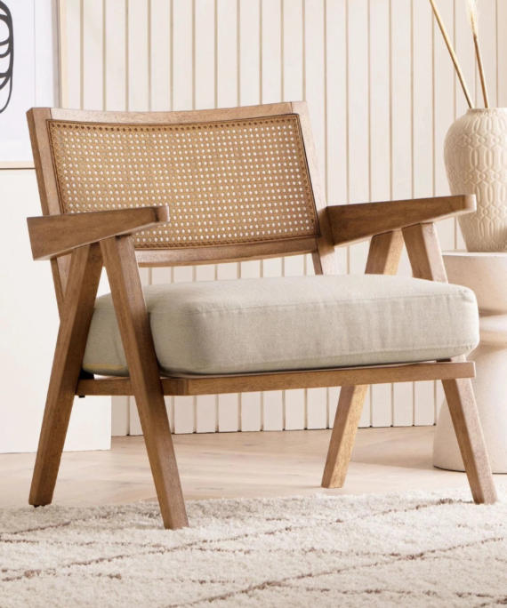 Furnliv Mandor Premium Chandigarh Designed Cane Lounge Chair #09