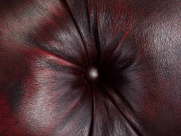 Furnliv Harold Chesterfield Armchair #35 - Image 3